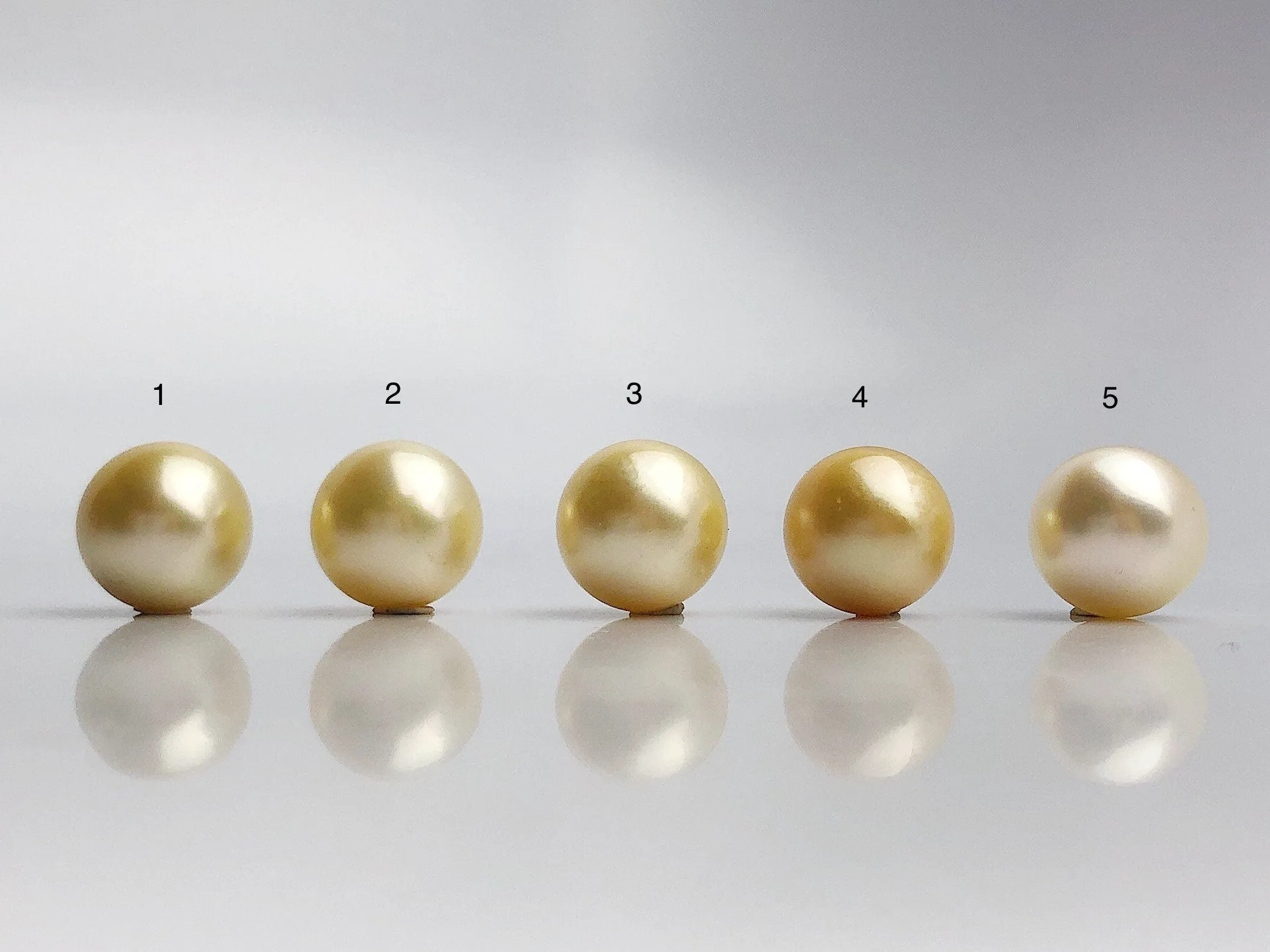 16mm - Golden South Sea Loose Pearls - Round - AA - 50% Percent Off Special, South Sea (#576 No. 1-5)