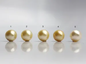 16mm - Golden South Sea Loose Pearls - Round - AA - 50% Percent Off Special, South Sea (#576 No. 1-5)