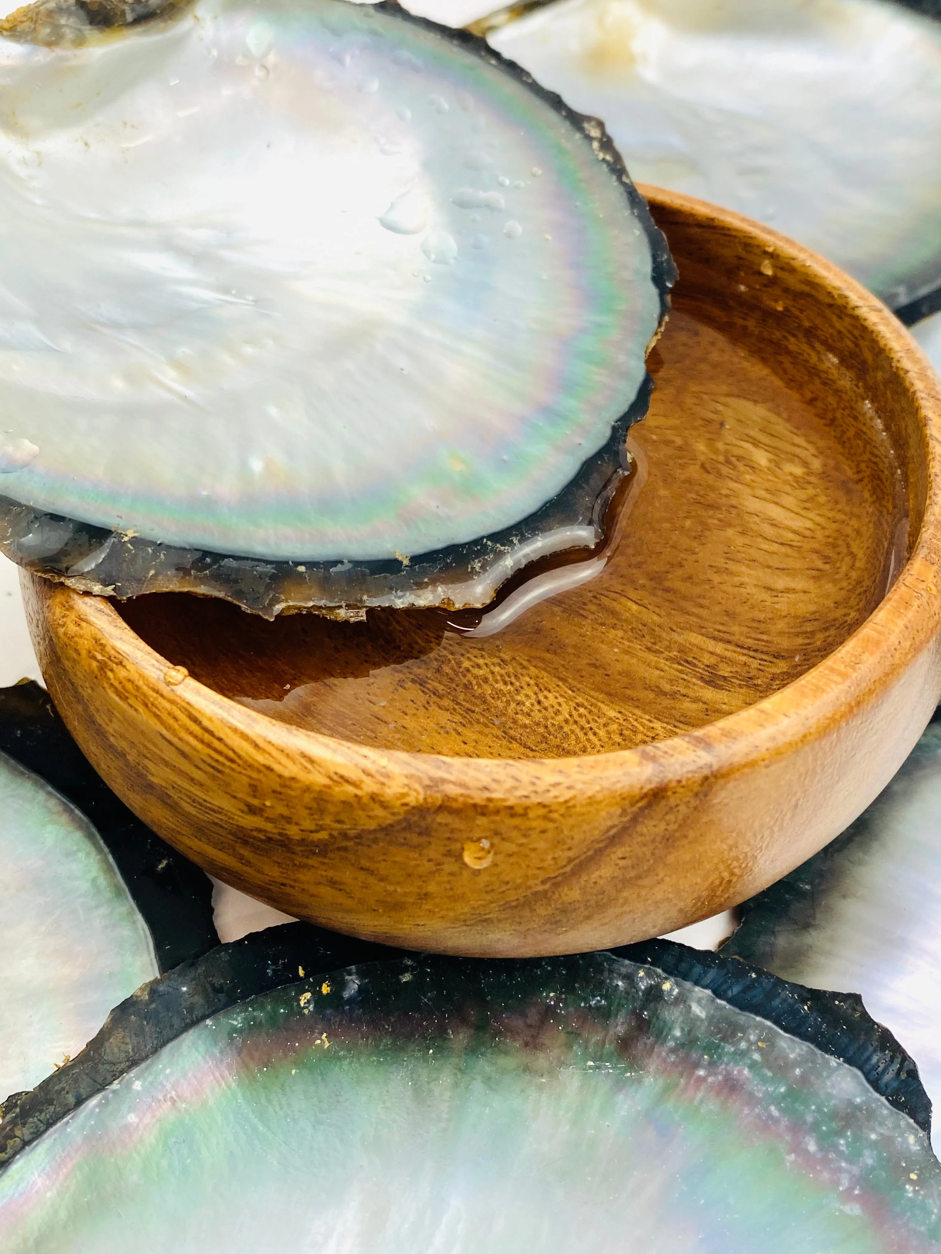 Beautiful oyster shells, SKU #OYST10