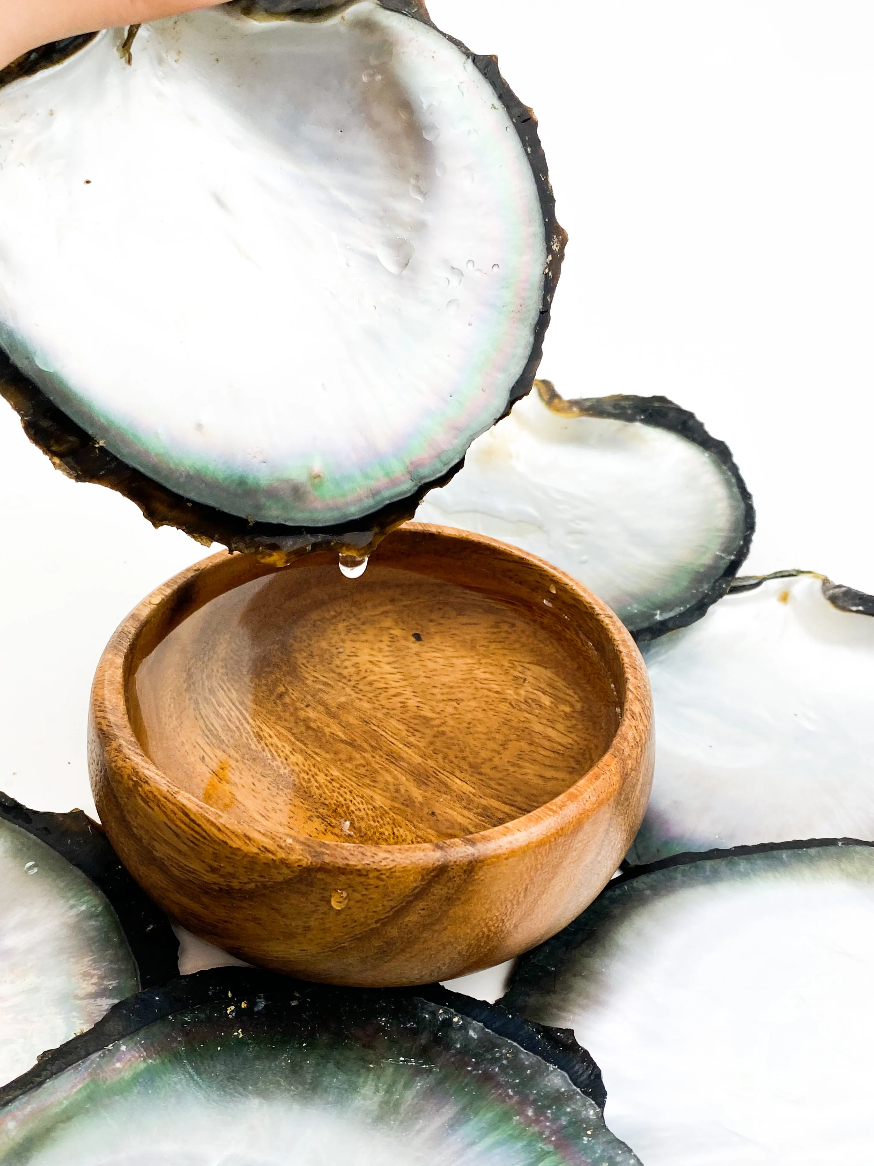 Beautiful oyster shells, SKU #OYST10