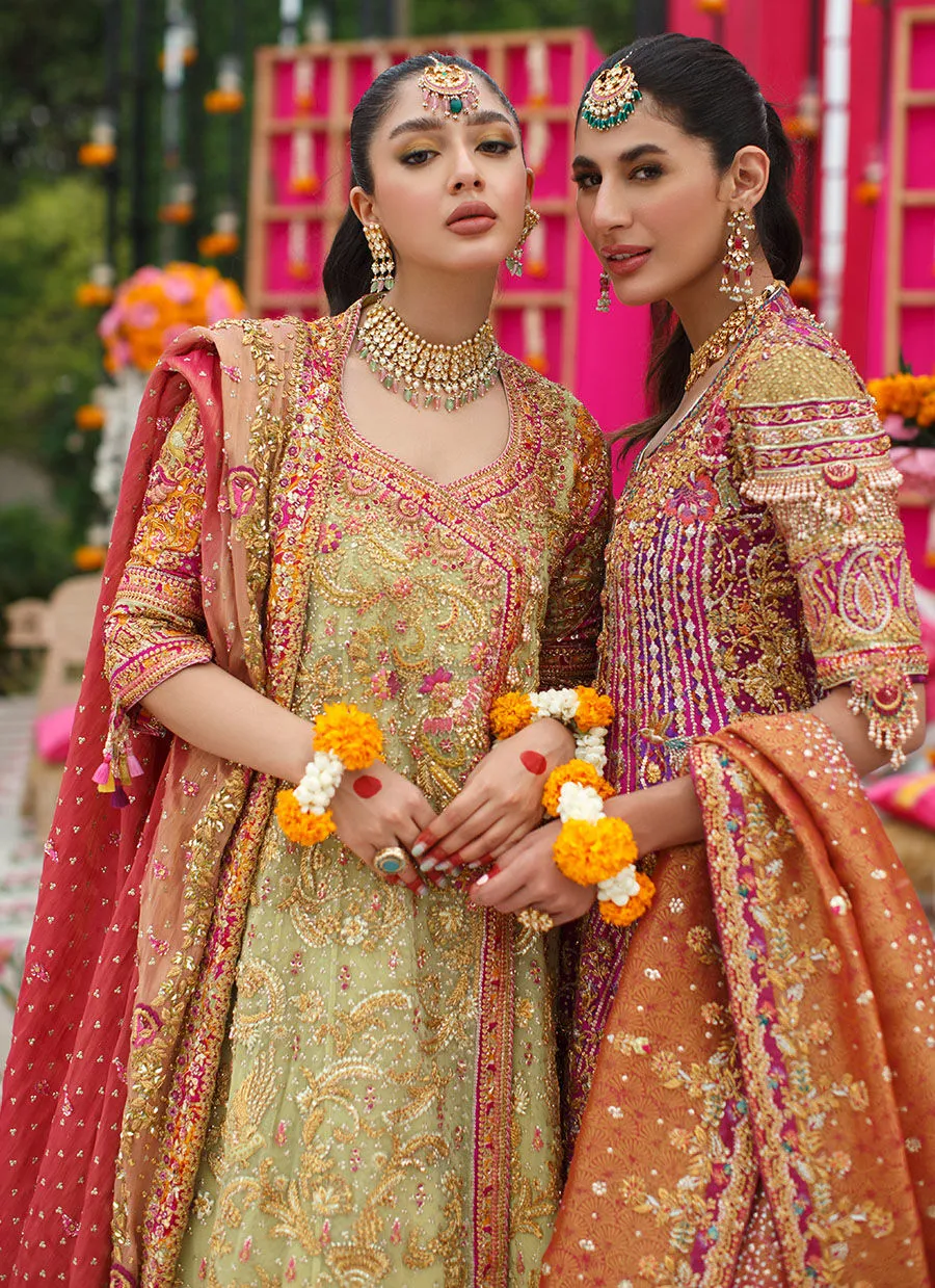 Farheen Angarkha