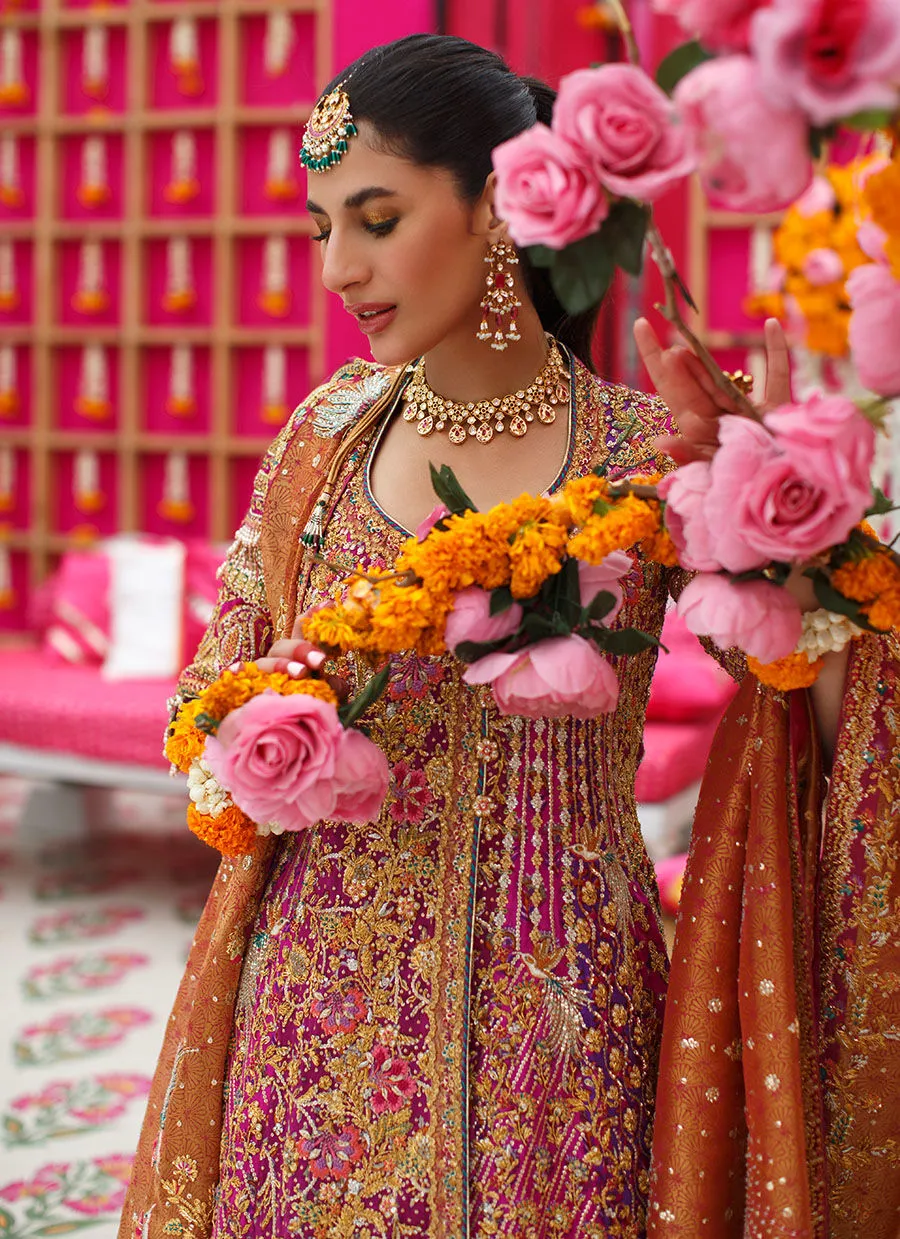 Farheen Angarkha