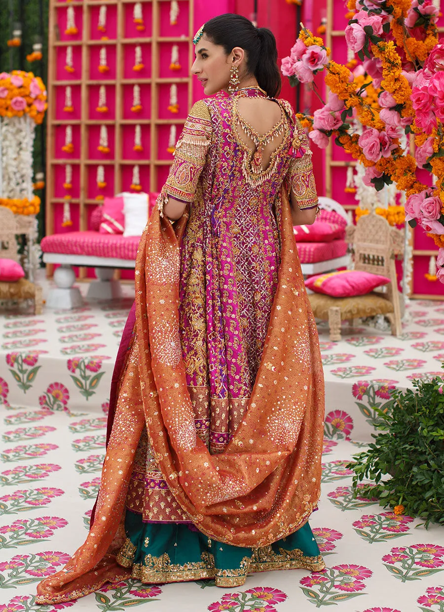 Farheen Angarkha