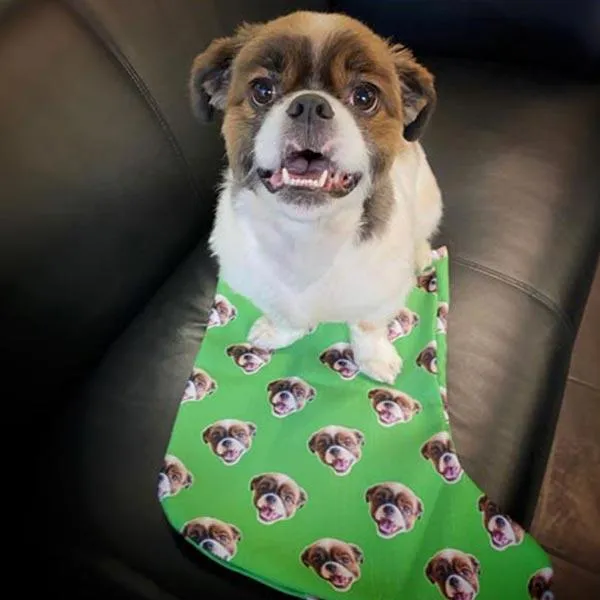 Original Pet Pop Art Christmas Stockings