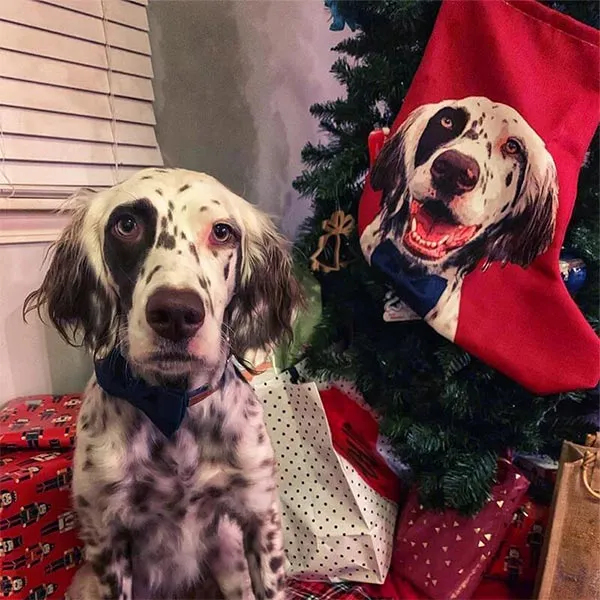 Original Pet Pop Art Christmas Stockings