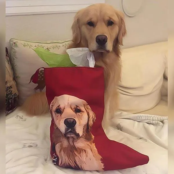 Original Pet Pop Art Christmas Stockings