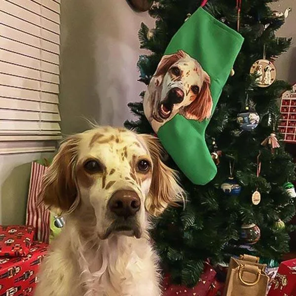 Original Pet Pop Art Christmas Stockings