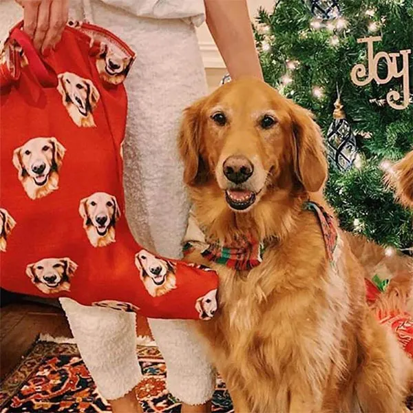 Original Pet Pop Art Christmas Stockings