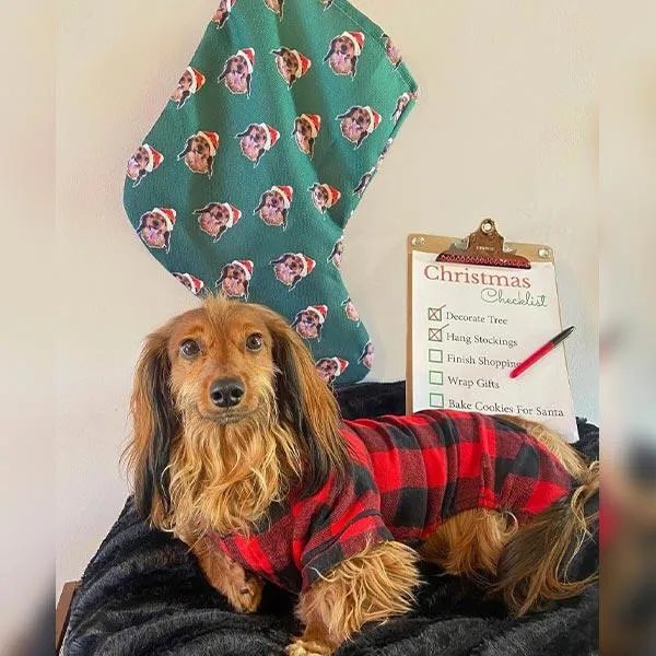 Original Pet Pop Art Christmas Stockings